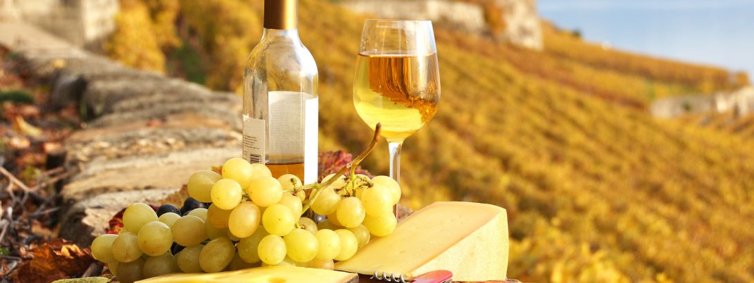 Вина и алкогольные напитки Андалусии